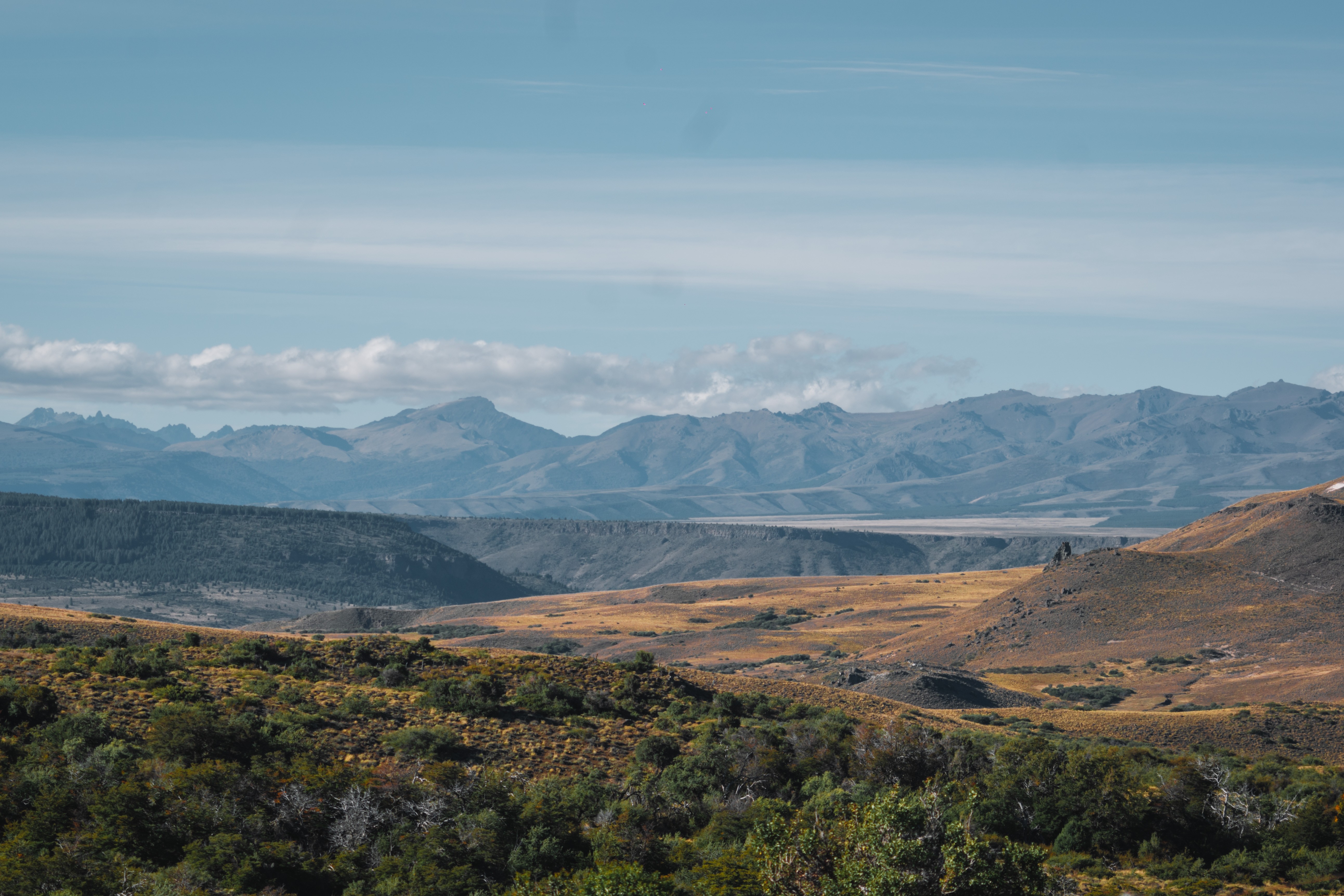 Northern Patagonia Red Stag Territory