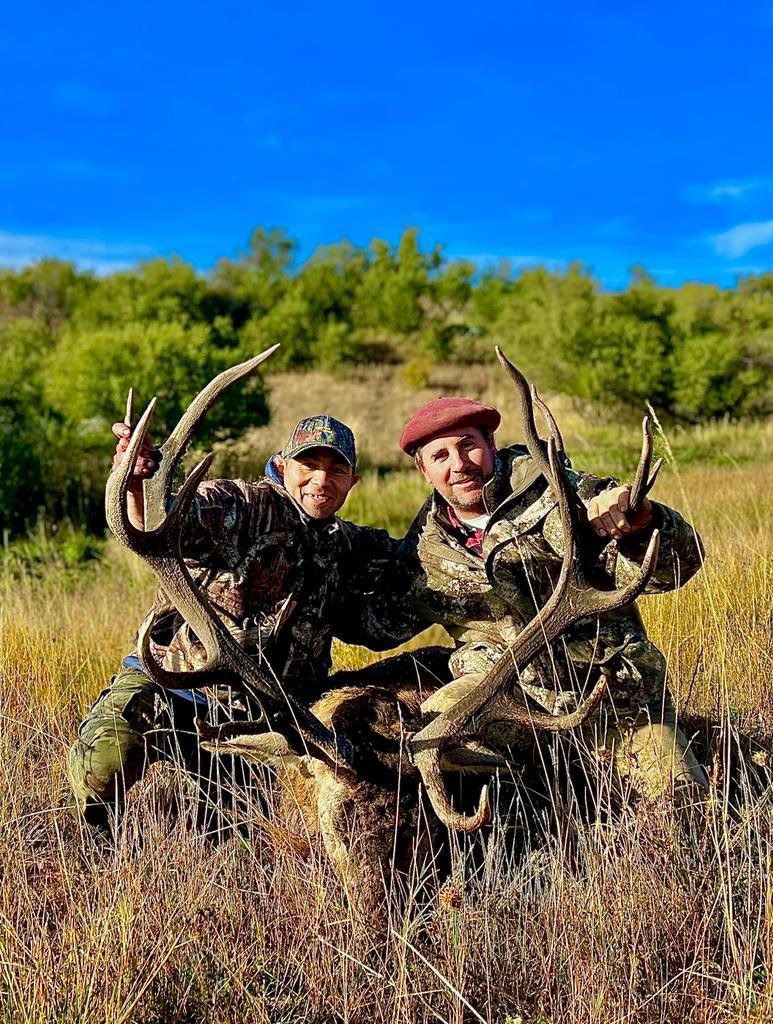 Red Stag — Quillén