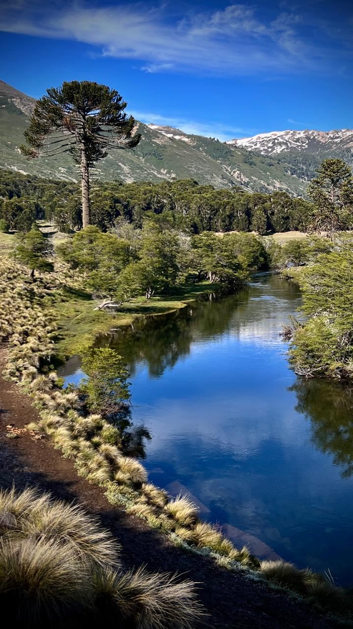 Calfiquitra Creek