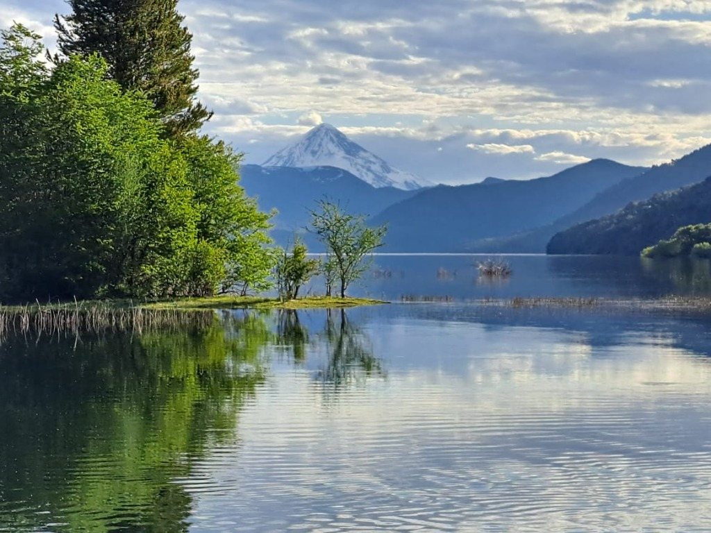 Lake Quillén — mirror of monkey puzzle trees