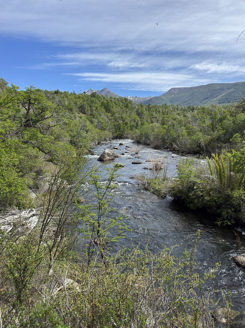 Malalco Creek