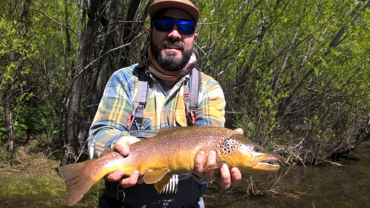 FreeCast Patagonia