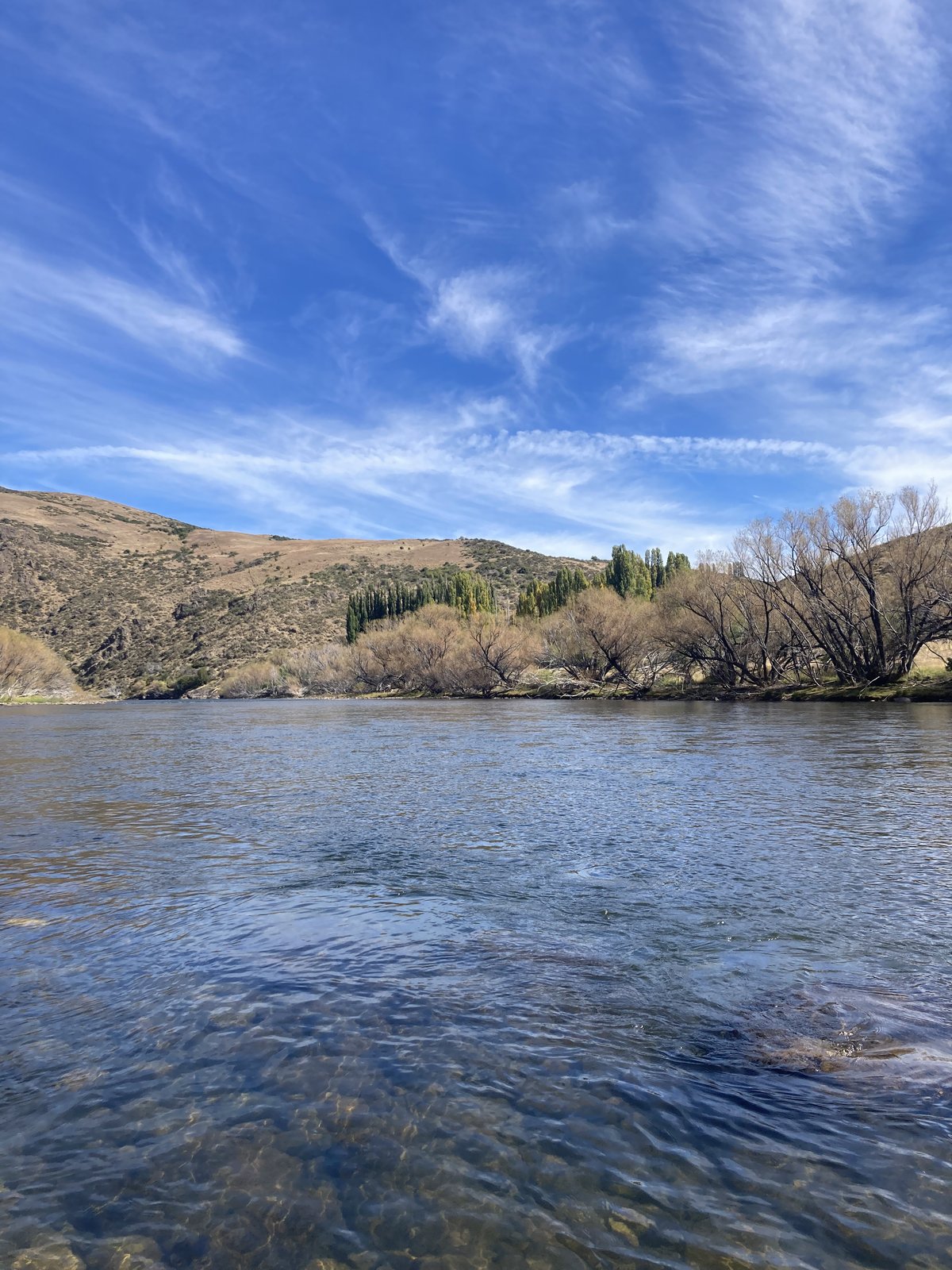 FreeCast Patagonia