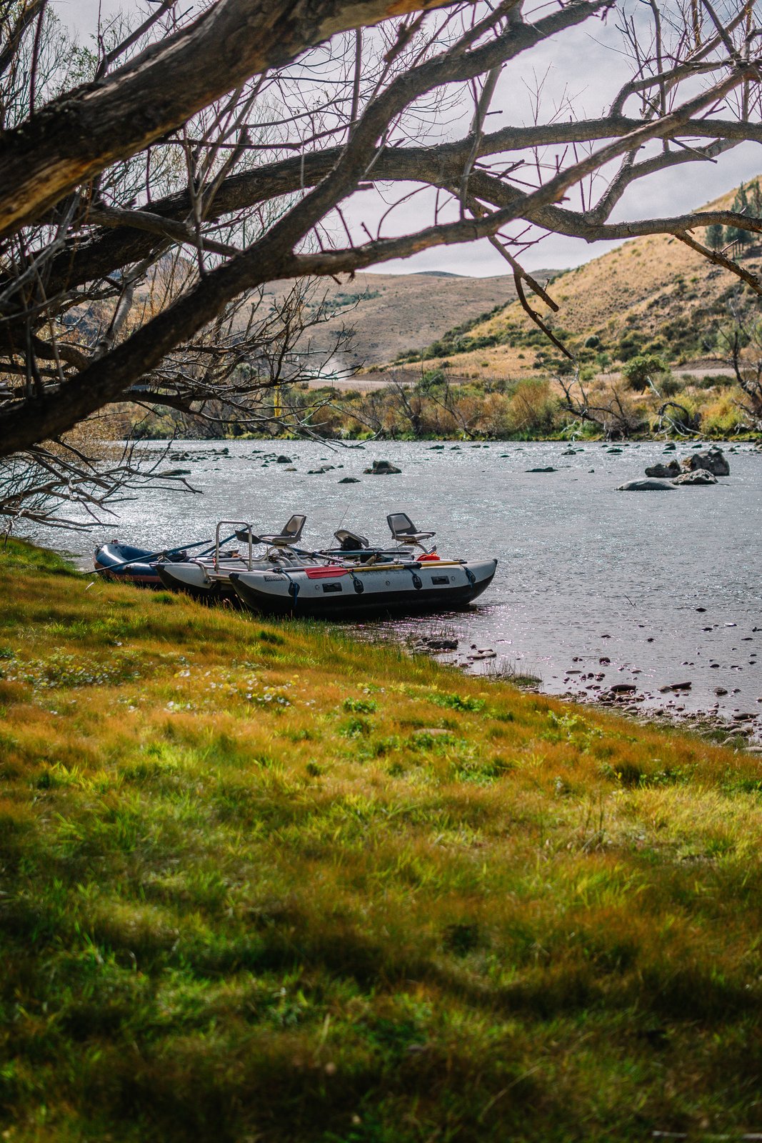 FreeCast Patagonia
