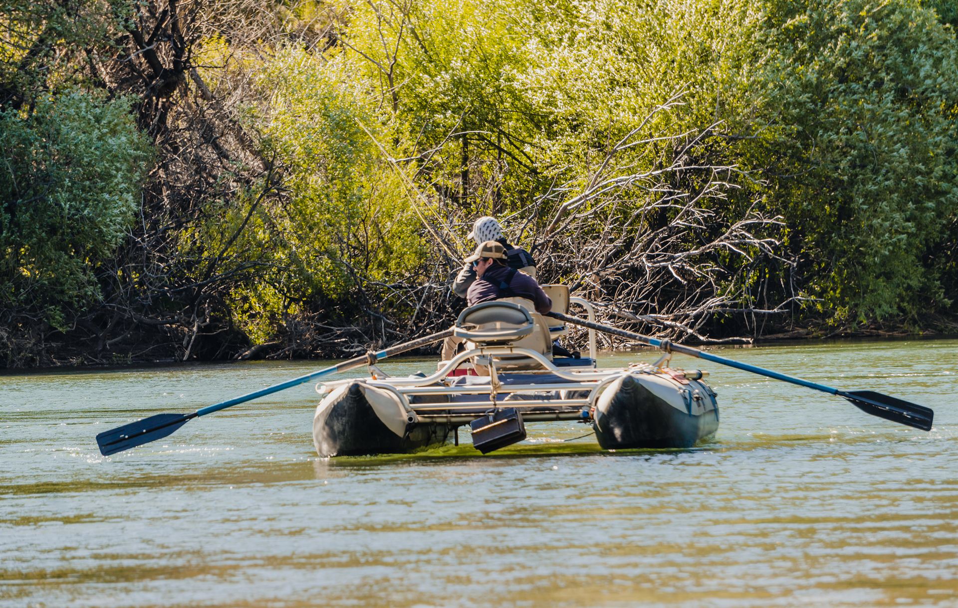 Aluminé River — Northern Patagonia