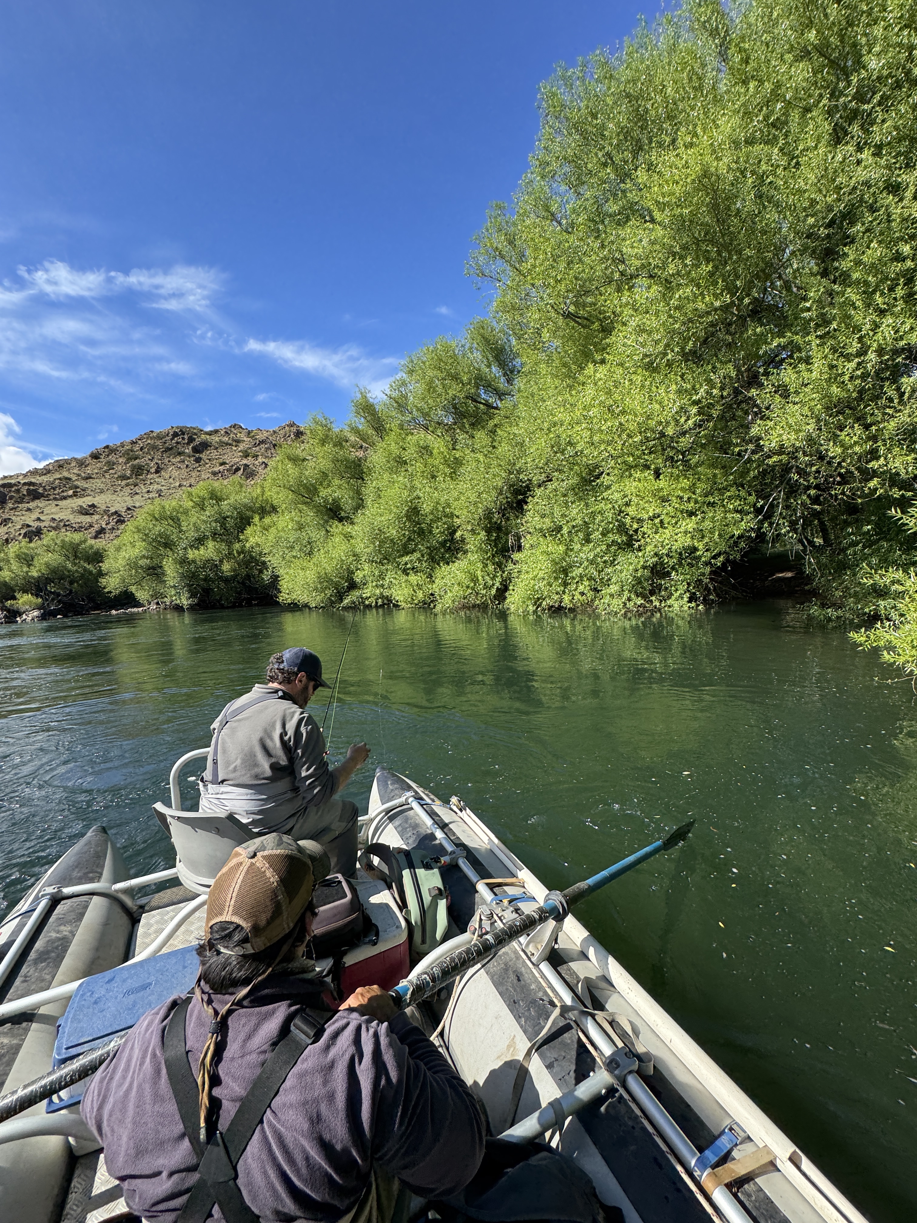 Aluminé river - three ecosystems of Northern Patagonia